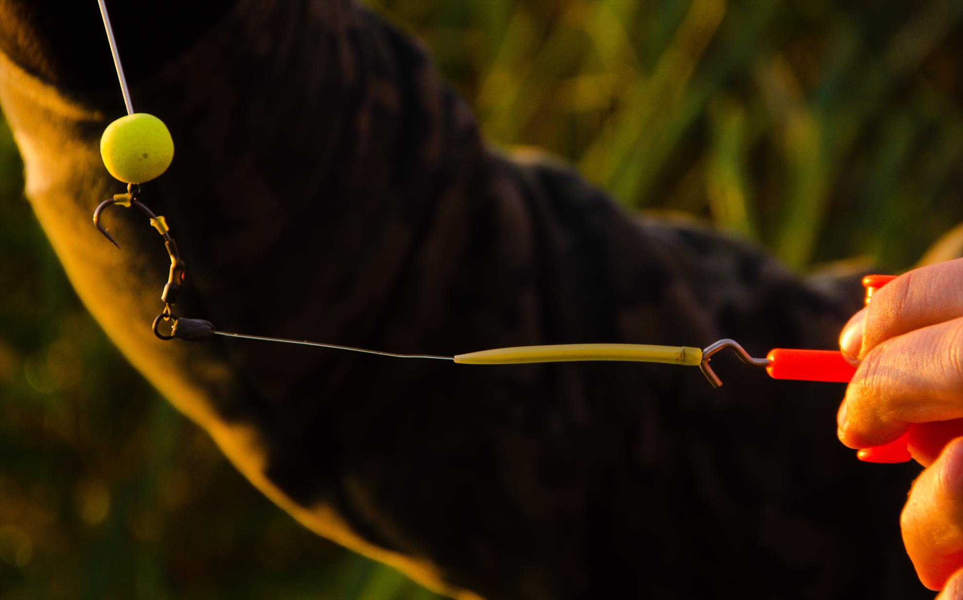 Cum se face montura de pop-up Ronnie Rig?